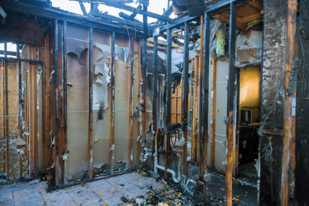Professional Fire Damage Assessment technician working in Plumas Lake, CA
